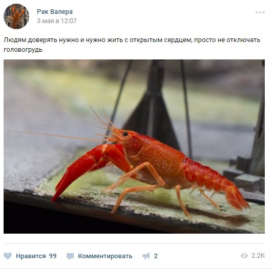 Лучший игровой SMM. Рак Валера предсказывает исход боев и просто жжет. - Изображение 4 Лучший игровой SMM. Рак Валера предсказывает исход боев и просто жжет. - Изображение 4