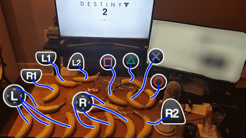 Стример проходит Destiny 2 с помощью бананов. Почему бы и нет. - Изображение 1