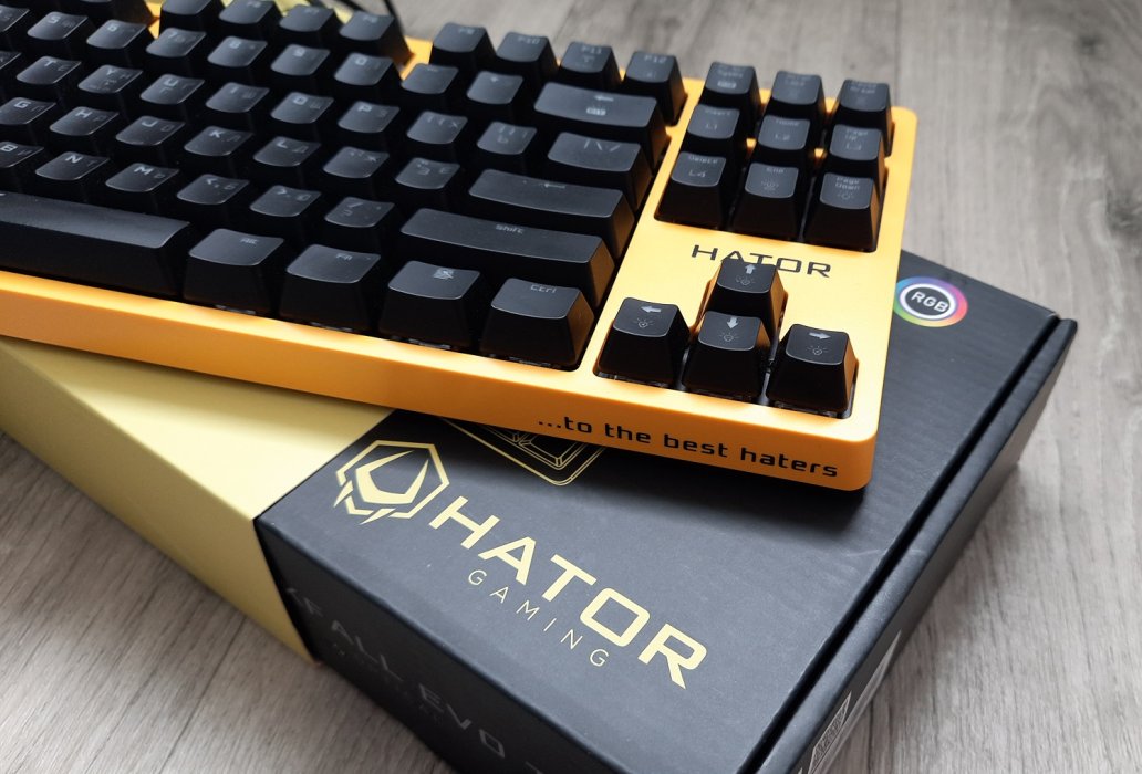 Обзор клавиатуры Hator Rockfall EVO TKL. Бюджетная оптическая клавиатура | Канобу Обзор клавиатуры Hator Rockfall EVO TKL. Бюджетная оптическая клавиатура | Канобу