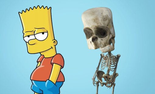 От Барта Симпсона и Эрика Картмана до Дональда Дака: художник показал скелеты персонажей мультиков